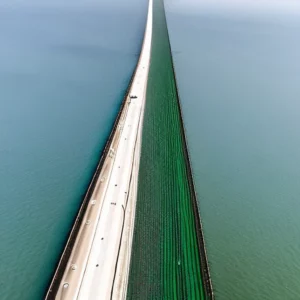 Artistic representation for 50 People Are Allowed To Climb The Mackinac Bridge Every Year